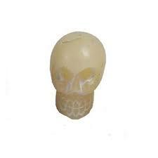 Skull Candle 1" Skull