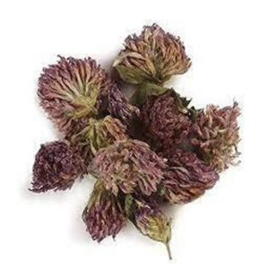 Organic Herbs - Red Clover