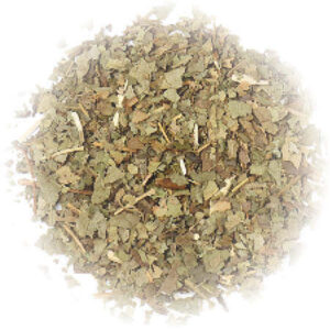 Organic Herbs - Sassafras Leafs