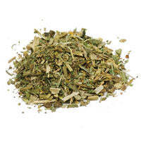 Organic Herbs - Celandine Root