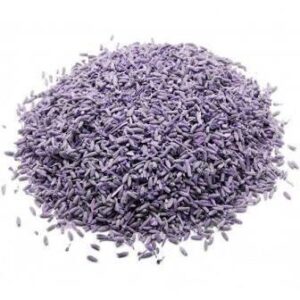 Organic Herbs - Lavender