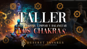 Los Chakras El Poder De La Manifestation I Taller