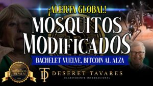 ¡Alerta Global! 🚨 Mosquitos Modificados 🦟 | ¿Bachelet Vuelve? 🇨🇱 | Bitcoin Al Alza 💰  I Miembros Premium