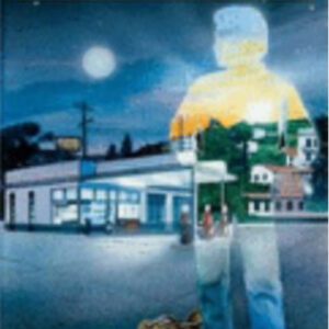 El camino del guerrero pacífico por Dan Millman