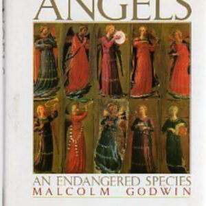 Ángeles Una especie en peligro de extinción por Malcolm Godwin