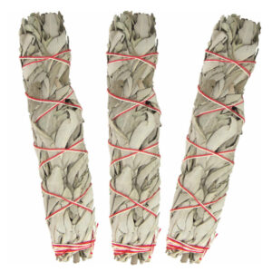 California White Sage Smudges California White Sage Smudges 9"L (Large)