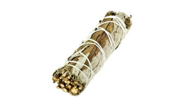 California White Sage Smudges California White Sage with Yerba Santa 5"L (Small)