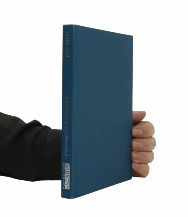 The Book Of Angels by Francis Melville