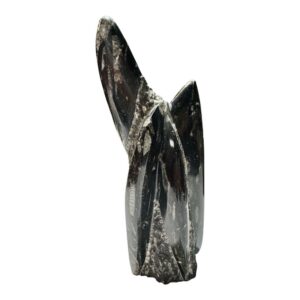 Black Orthoceras Fossil Abstract Sculpture – Achievement of Goals &amp; Transformation Energy
